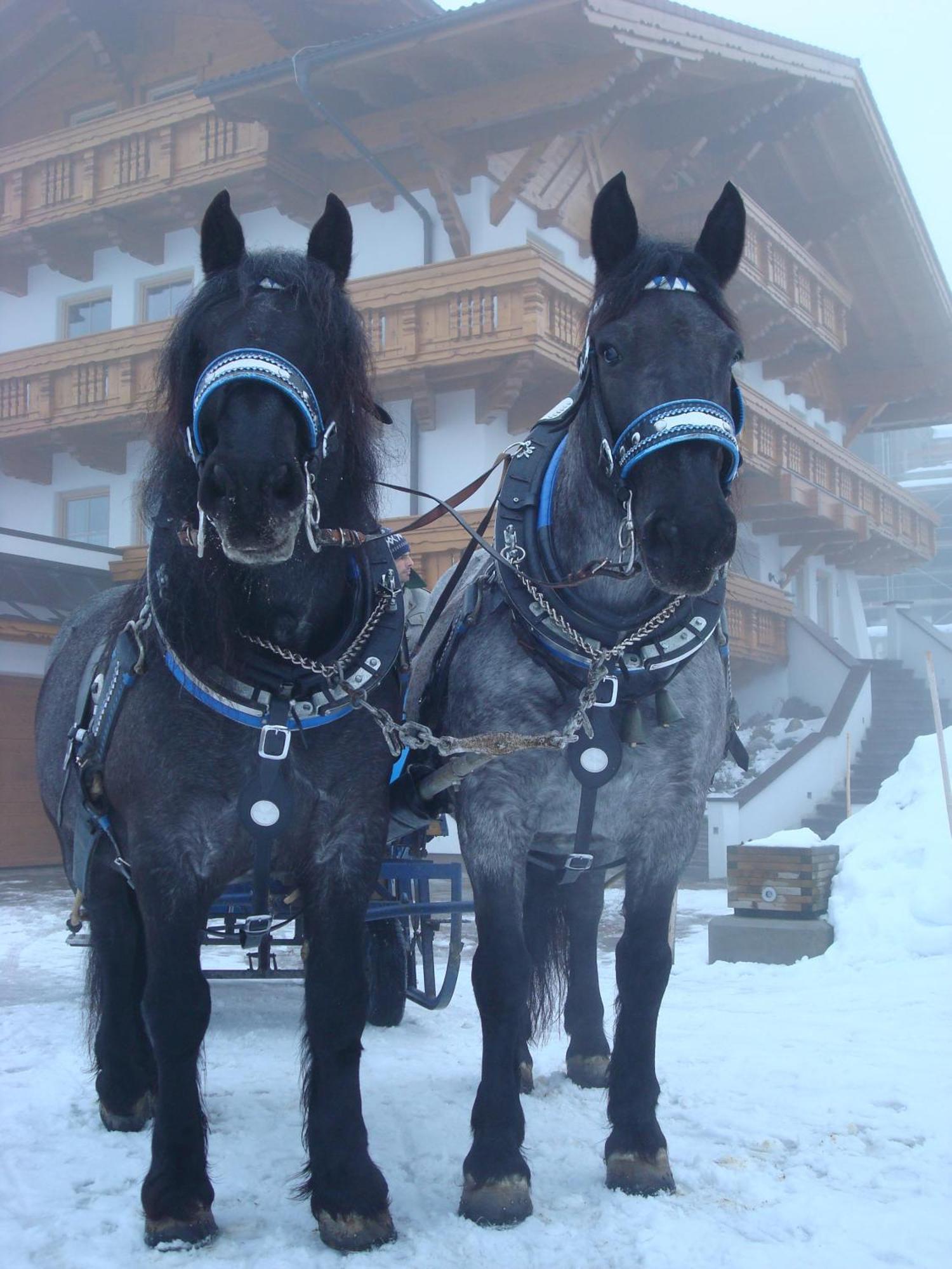 Landhaus Steiner Schladming Exterior foto